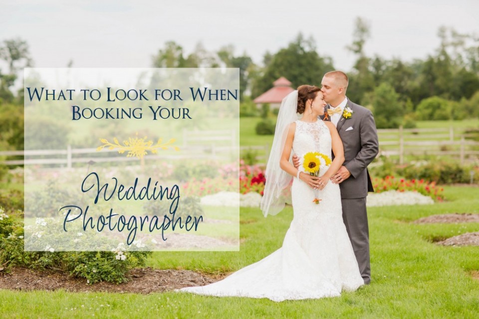 Galleries Wedding Portrait Photographer In Akron Ohio Loren Find Wedding Photographer Outdoor Cleveland Ohio