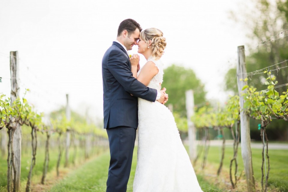 Gervasi vineyard coupons