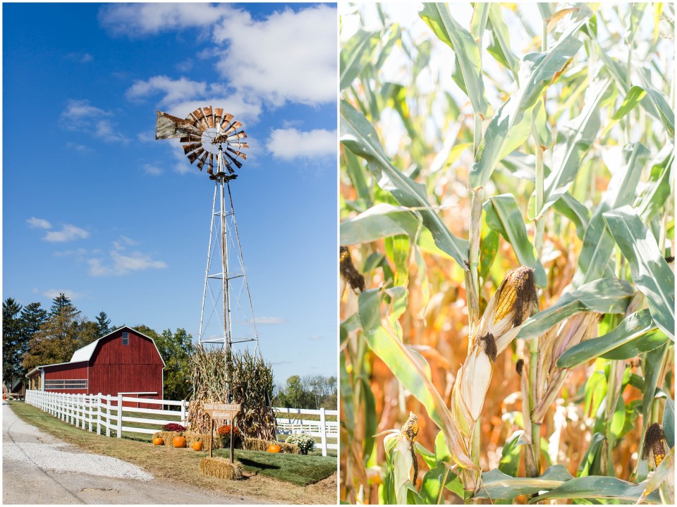 loren jackson photography,photographer akron ohio,rehm barn wedding,rustic barn wedding,wayne county ohio, loren jackson photography,photographer akron ohio,rehm barn wedding,rustic barn wedding,wayne county ohio,