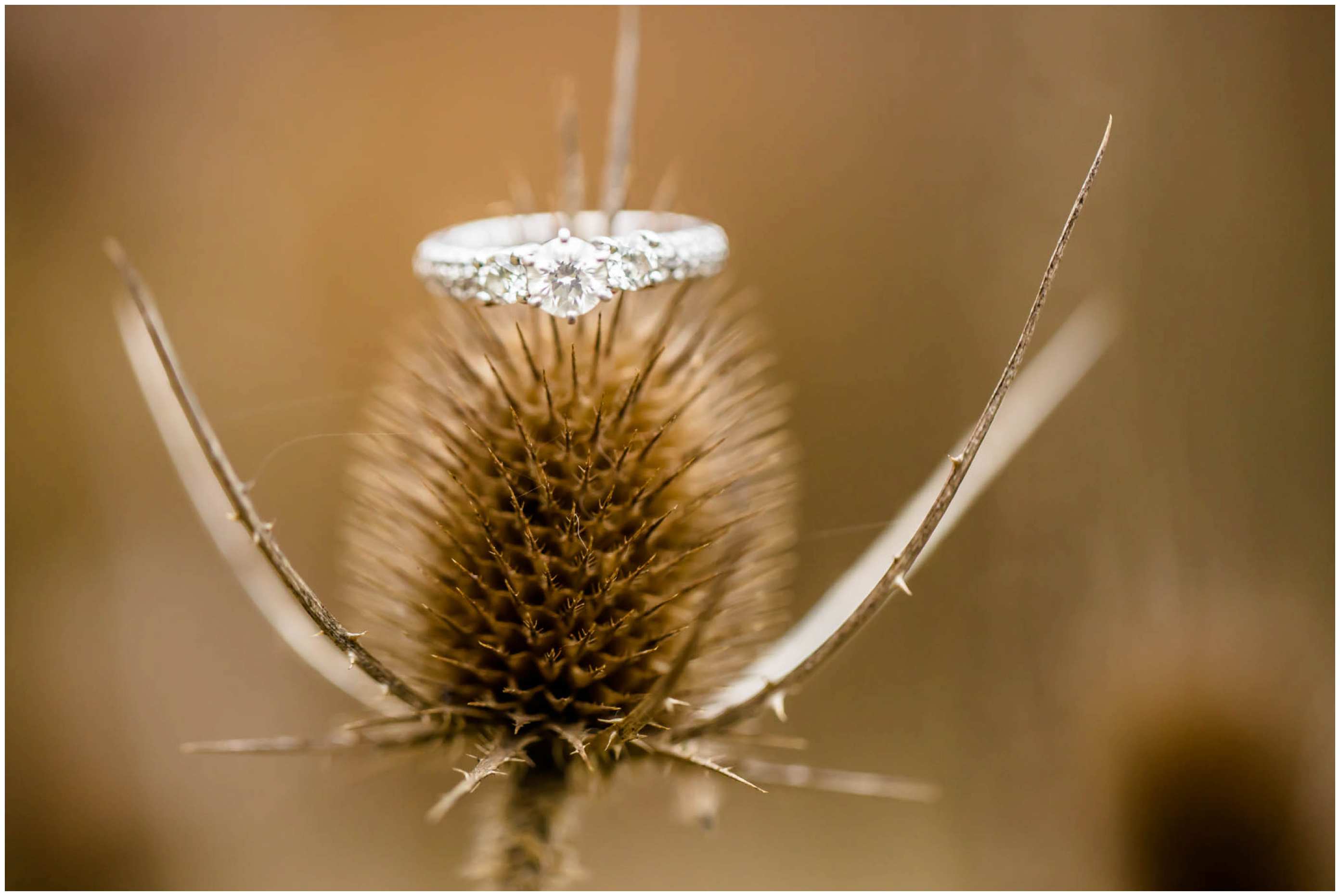 silver-creek-metro-park-engagement-session-21.jpg