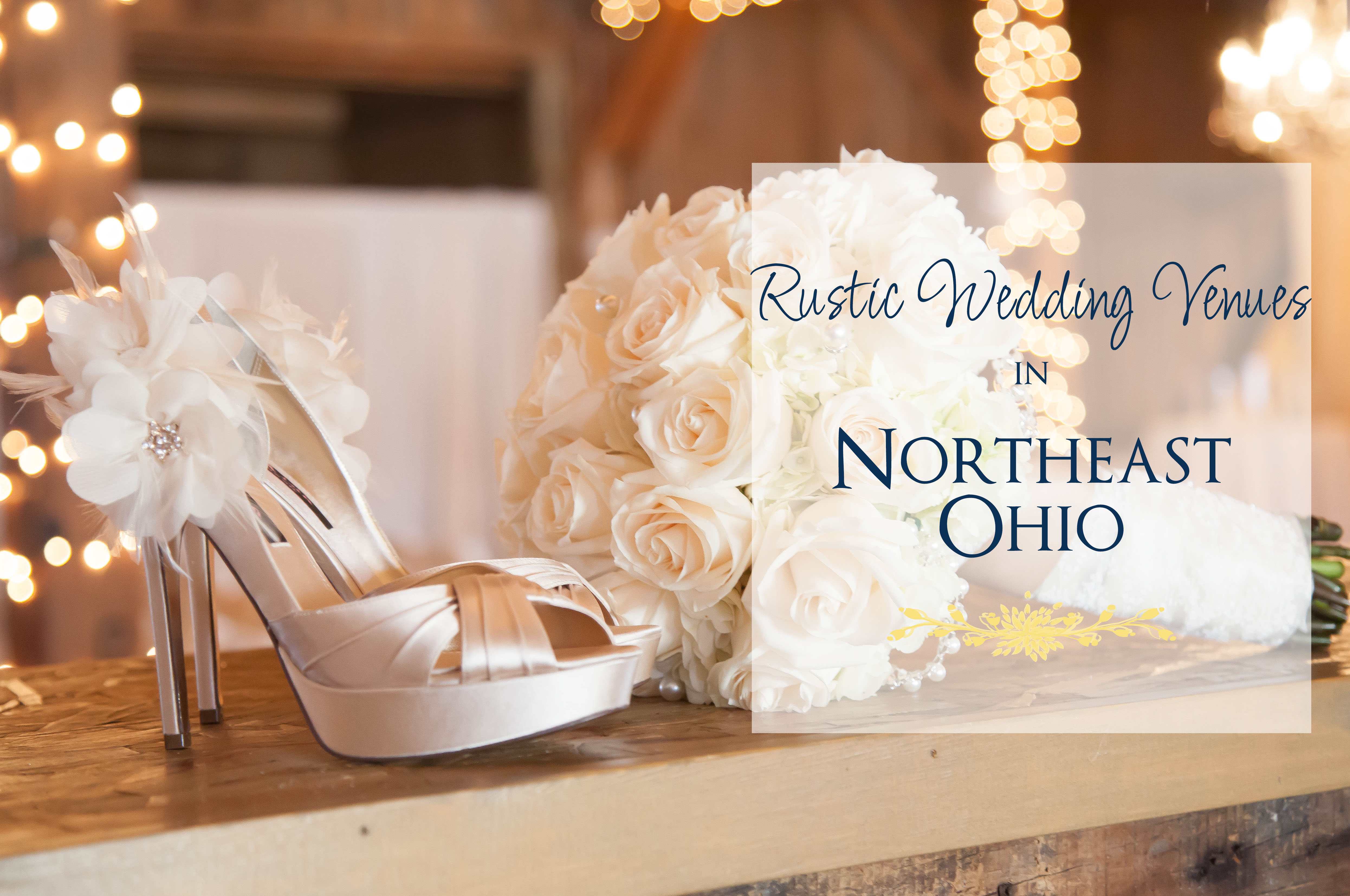 Rustic Wedding Venues In Northeast Ohio Photographer Akron