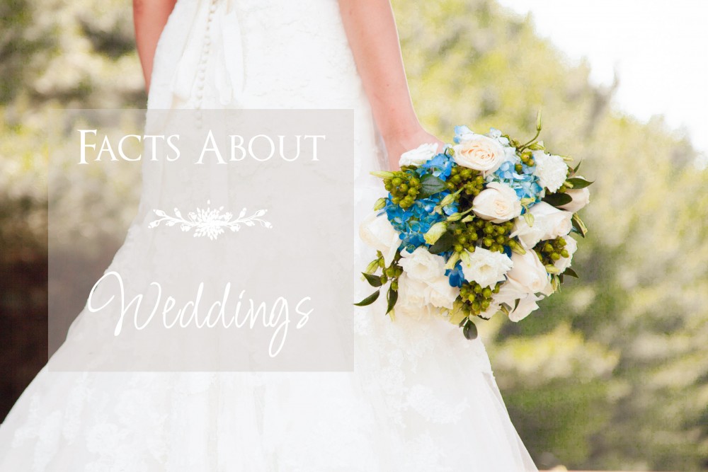 facts about weddings, photographer akron ohio, wedding planning tips for brides
