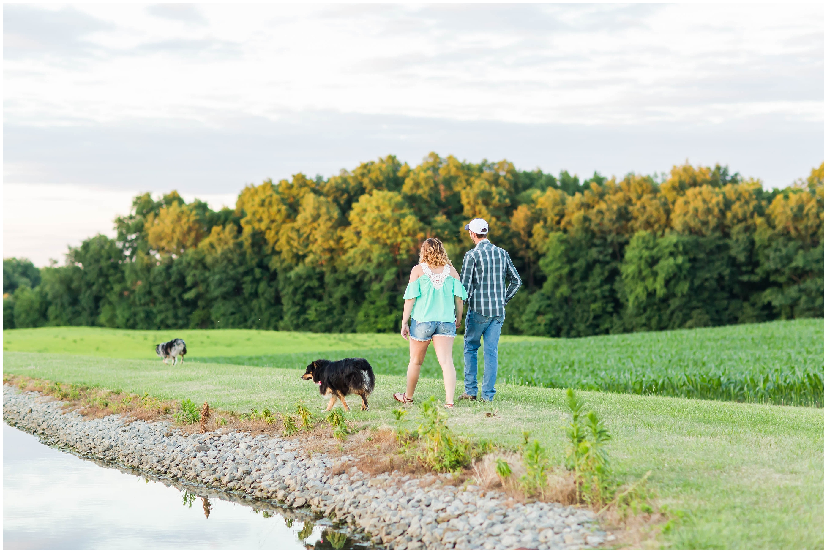Farm engagement session with wheat fields,loren jackson photography,photographer akron ohio,photos with dogs,