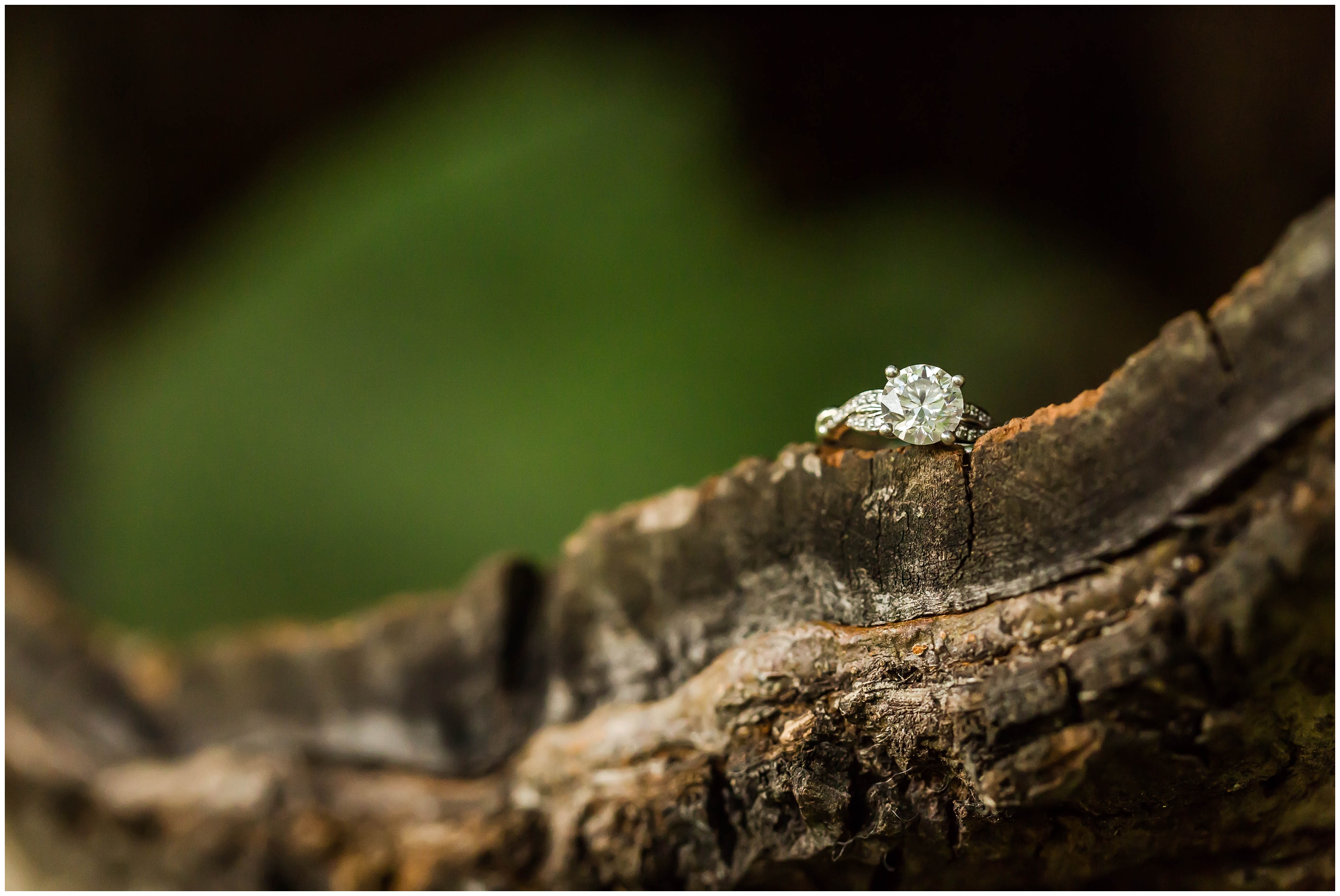 Hartville Ohio,Ohio Wedding Photographer,Quail Hollow State Park Engagement Session,photographer akron ohio,