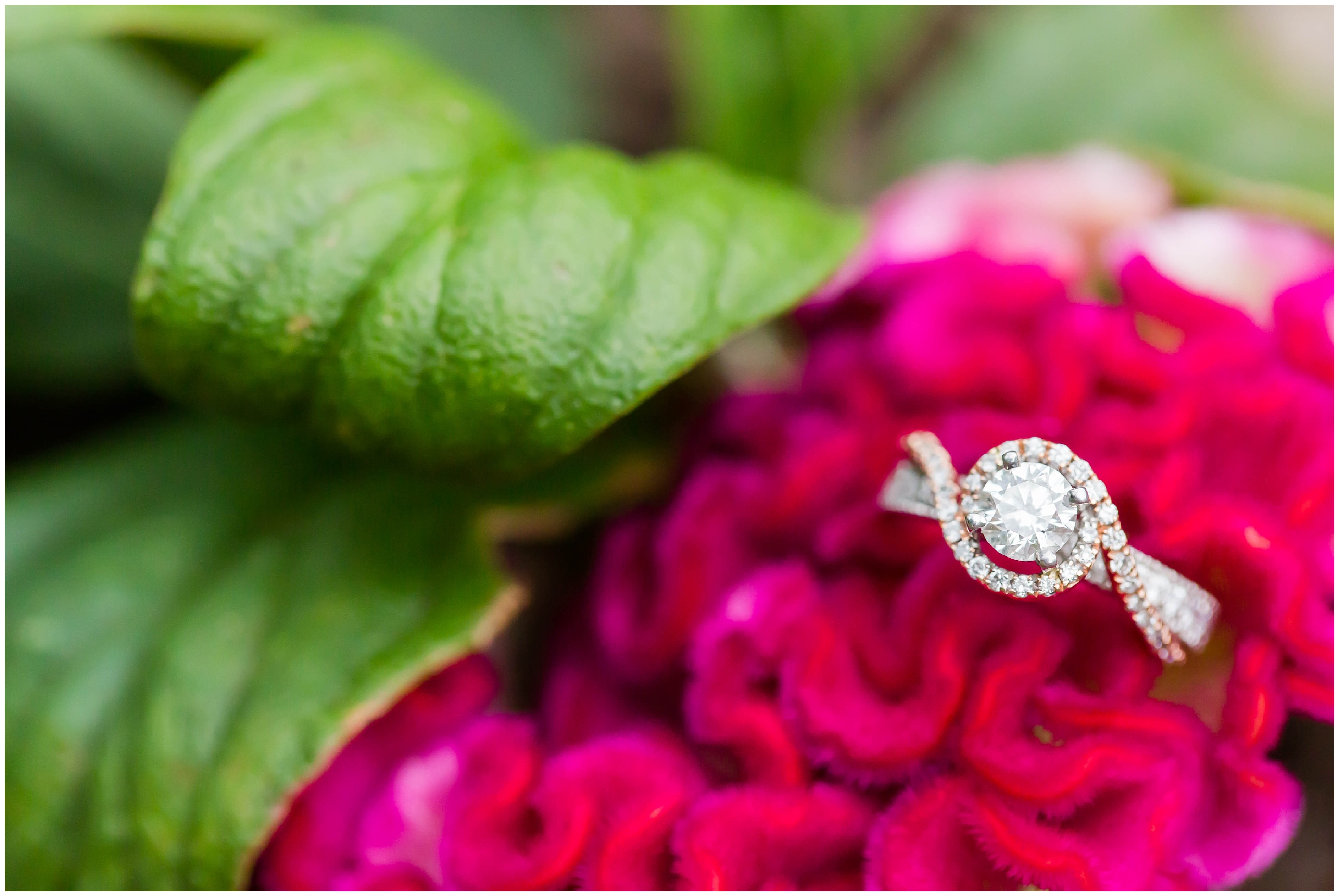 Infinity engagement ring with rose gold,Quail Hollow State Park Engagement Session,loren jackson photography,photographer akron ohio,