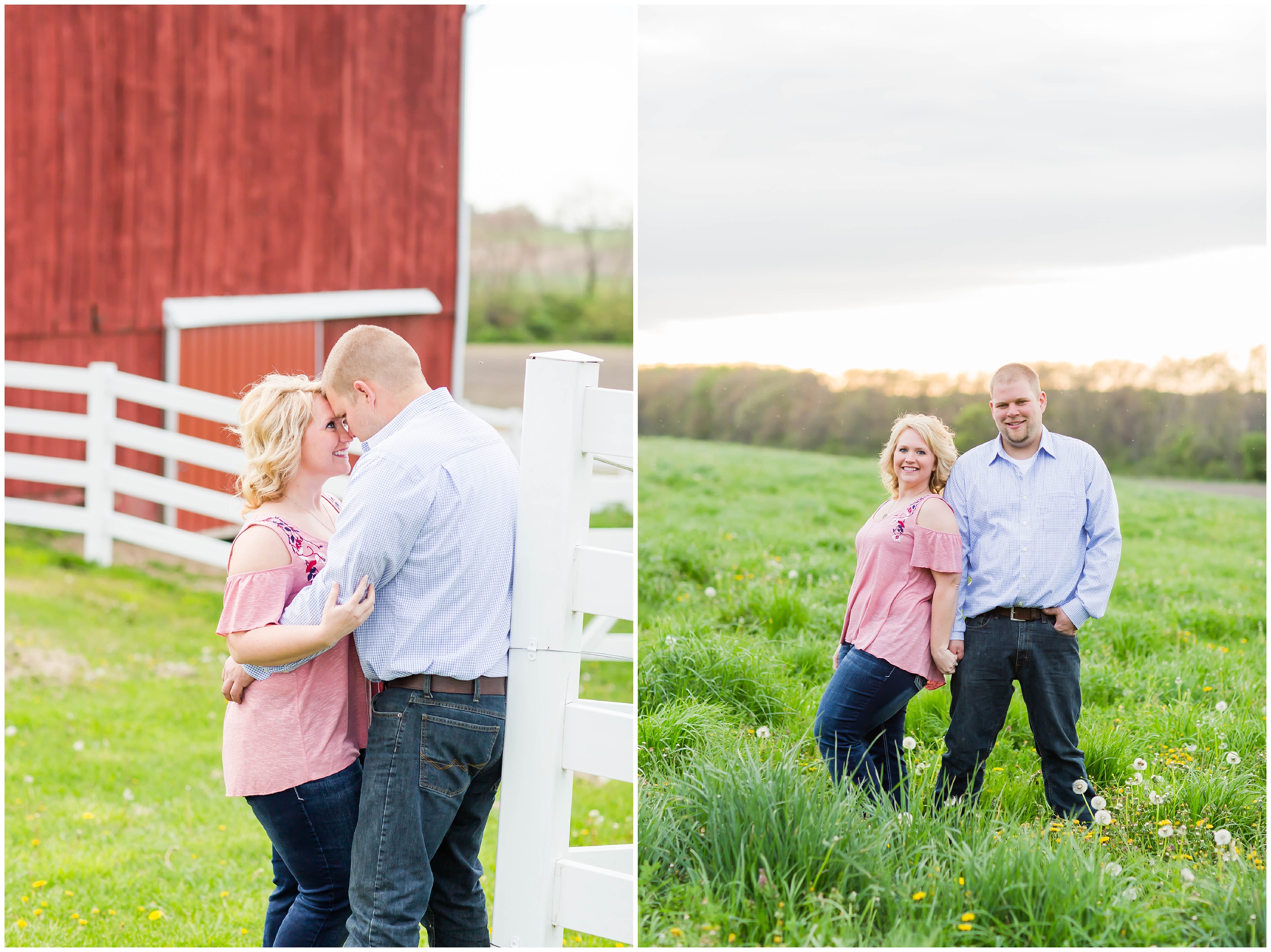 Cleveland Ohio Wedding Photographer,farm engagement photos,loren jackson photography,photographer akron ohio,