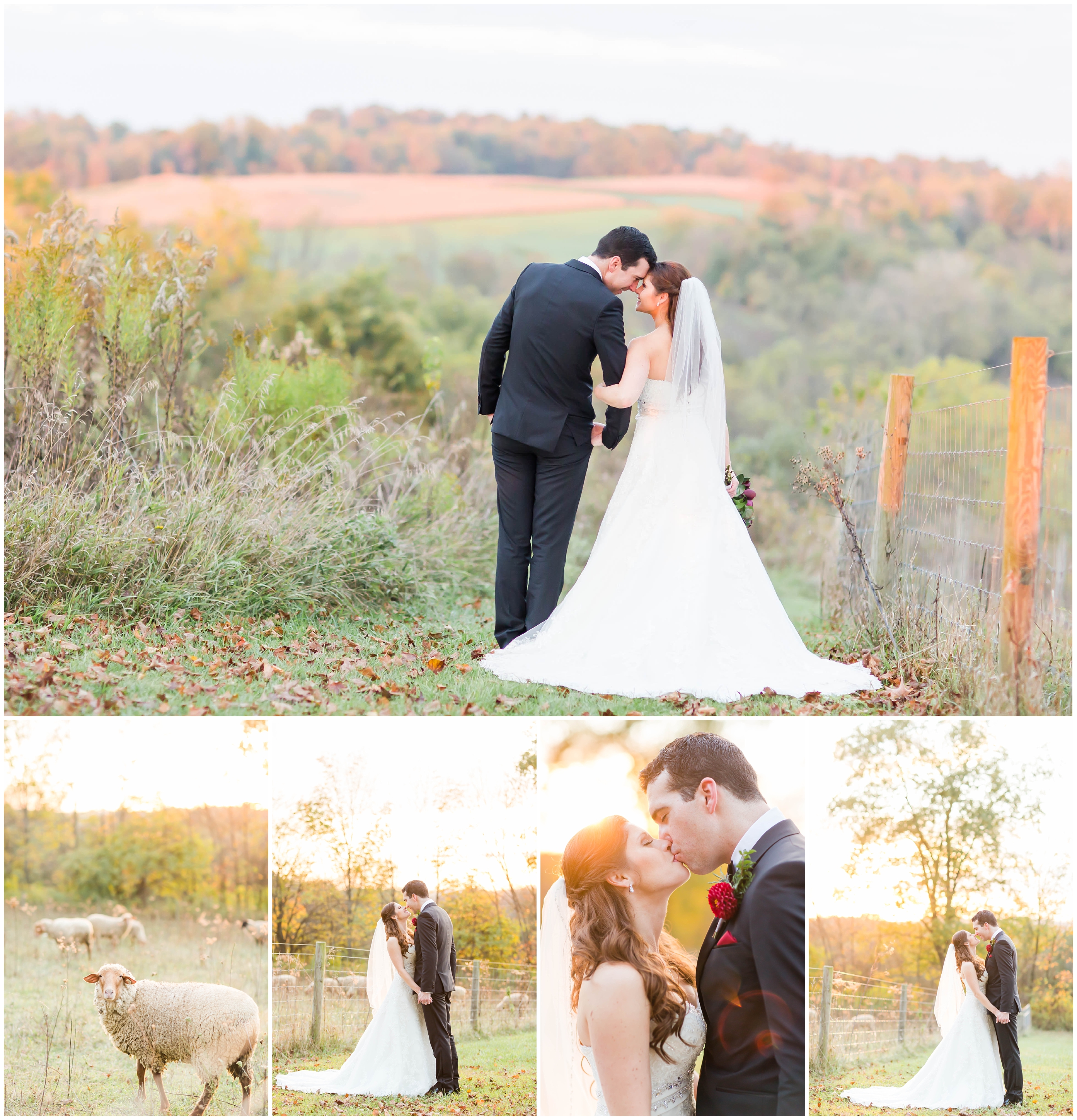 Inn At Honey Run Wedding Photographer Akron Ohio