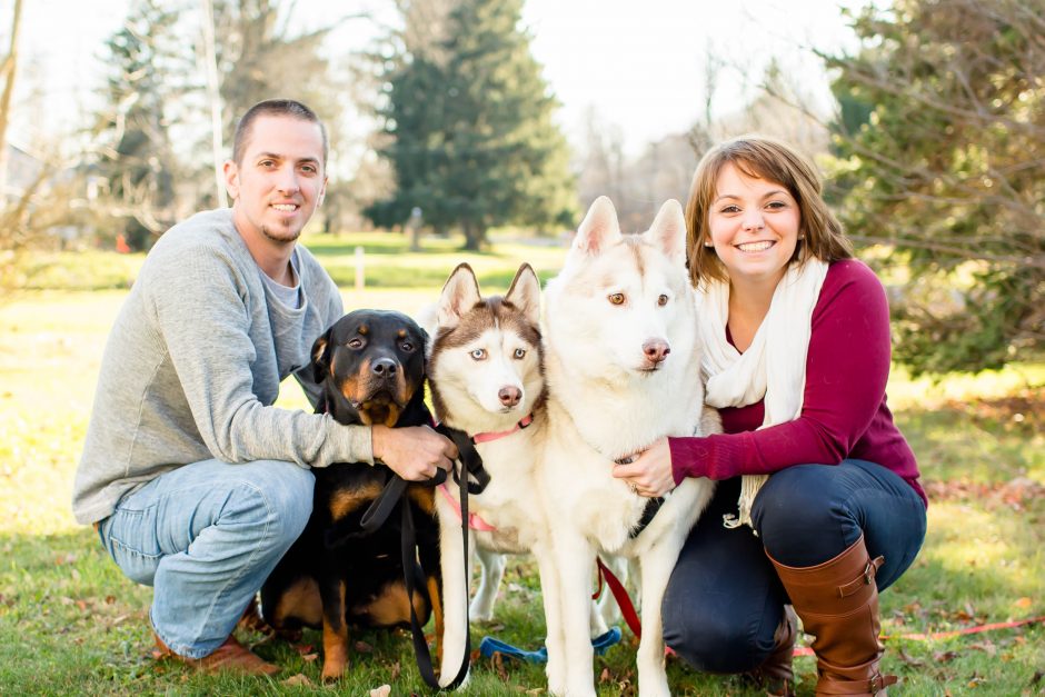 Christmas card photo with dogs, tips for engagement photos with dogs, dogs and photos, loren jackson photography, photographer akron ohio, cleveland wedding photography