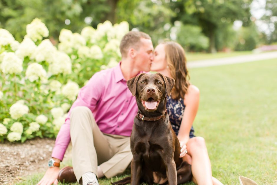 tips for engagement photos with dogs, dogs and photos, loren jackson photography, photographer akron ohio, cleveland wedding photography