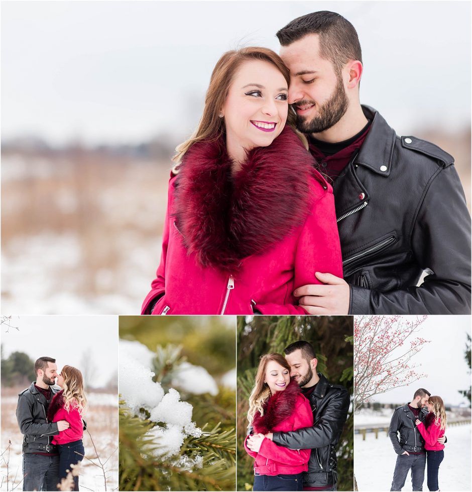 winter engagement photos at Petros Park Stark County, wedding photographer akron ohio