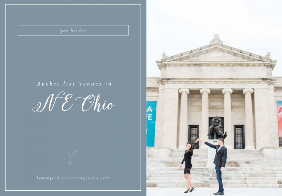 engagement photos at the cleveland art museum, northeast ohio wedding venues