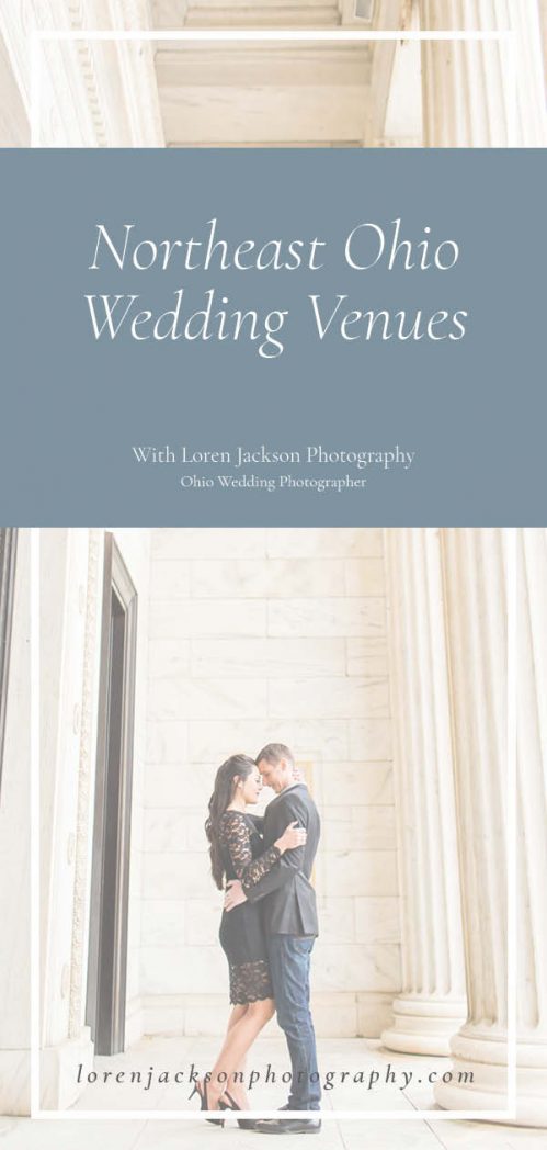 engagement photos at the cleveland art museum, northeast ohio wedding venues